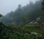 Filename=R214-00681.jpg
Filesize=250KiB
Dimensions=1920x1080
Date added=Sep 28, 2018 R214-00681.jpg