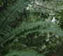 RD_0645.jpg