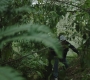 RD_0646.jpg