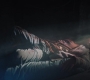RD_1009.jpg