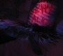RD_1155.jpg