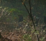 RD_0322.jpg