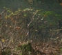 RD_0323.jpg