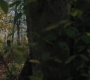 RD_0329.jpg
