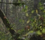 RD_0352.jpg