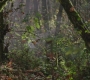 RD_0353.jpg