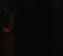 RD_0716.jpg