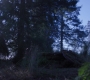 RD_1238.jpg