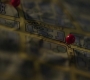 RD_0659.jpg