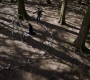 Filename=RD_0527.jpg
Filesize=376KiB
Dimensions=1920x1080
Date added=May 11, 2019 RD_0527.jpg