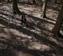 Filename=RD_0528.jpg
Filesize=541KiB
Dimensions=1920x1080
Date added=May 11, 2019 RD_0528.jpg