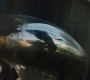 Filename=RD_0816.jpg
Filesize=108KiB
Dimensions=1920x1080
Date added=May 11, 2019 RD_0816.jpg