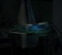 RD_1385.jpg