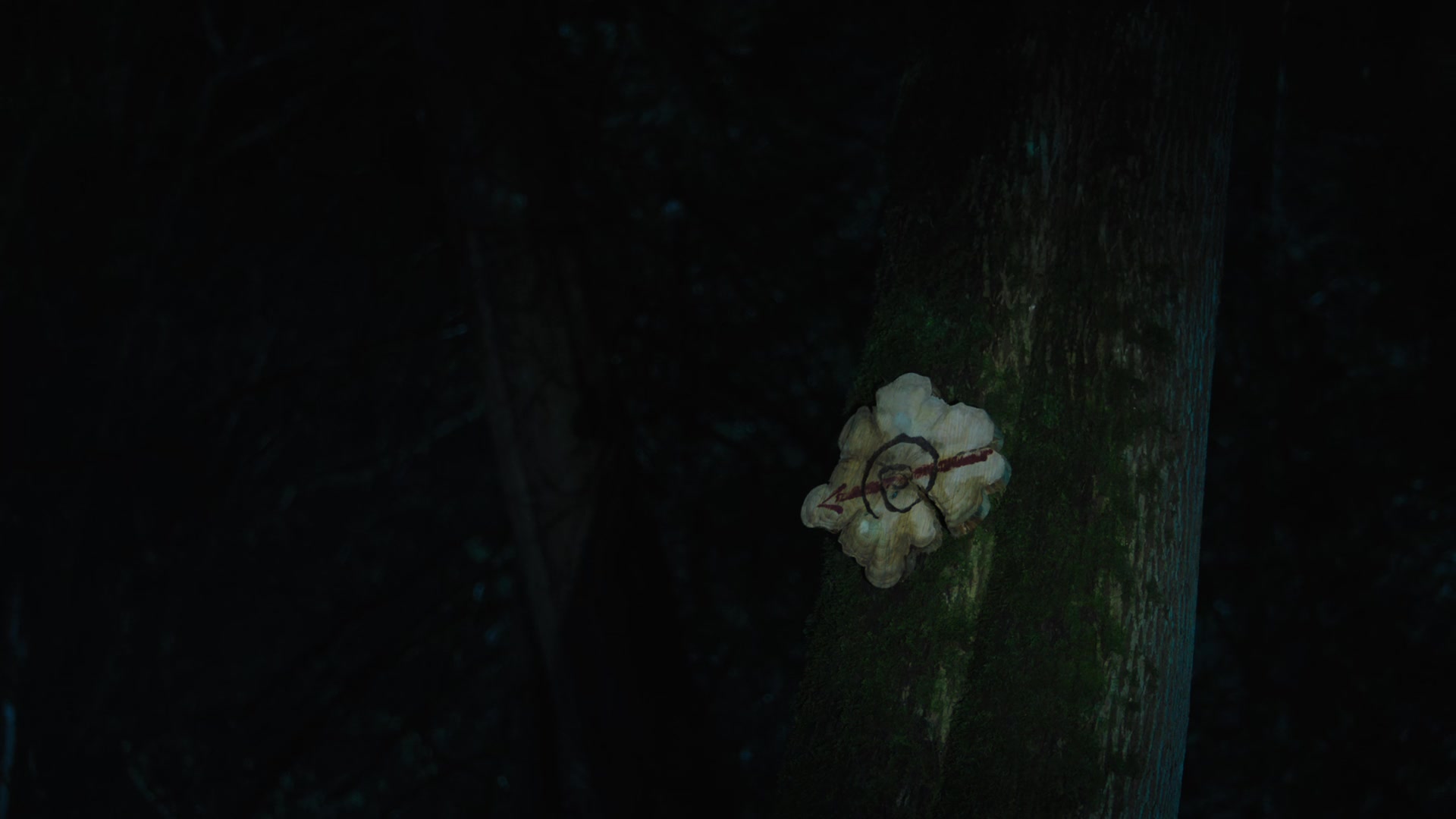 RD_0655.jpg