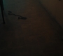 Filename=RD_1119.jpg
Filesize=69KiB
Dimensions=1920x1080
Date added=Nov 16, 2019 RD_1119.jpg