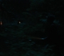 RD_0342.jpg
