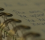 RD_0311.jpg