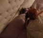 RD_0160.jpg