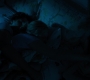 RD_0027.jpg
