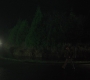 RD_0237.jpg