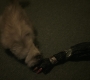 RD_0548.jpg