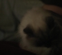 RD_0562.jpg