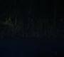 Filename=RD_1414.jpg
Filesize=95KiB
Dimensions=1920x1080
Date added=Feb 28, 2021 RD_1414.jpg