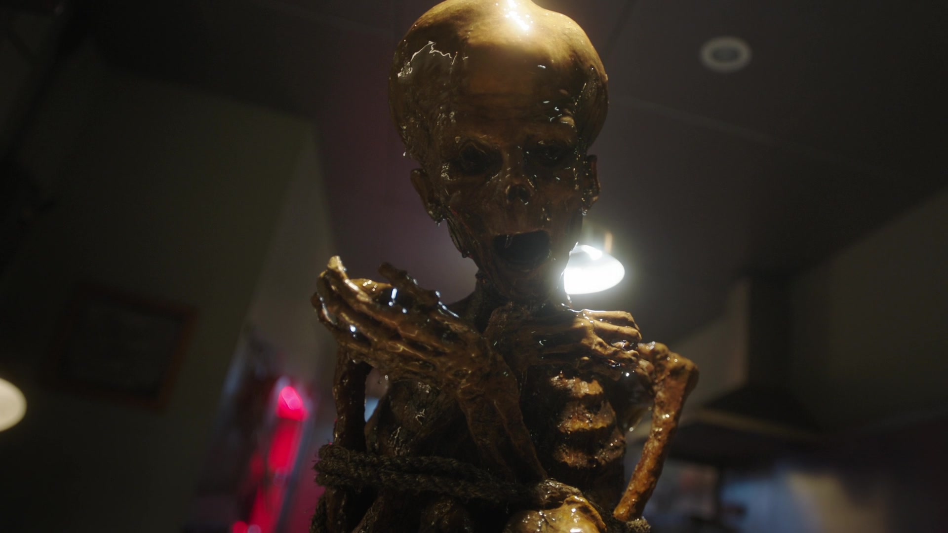 RD_1202.jpg
