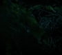 RD_0646.jpg
