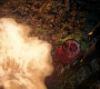 RD_0650.jpg