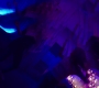RD_1350.jpg
