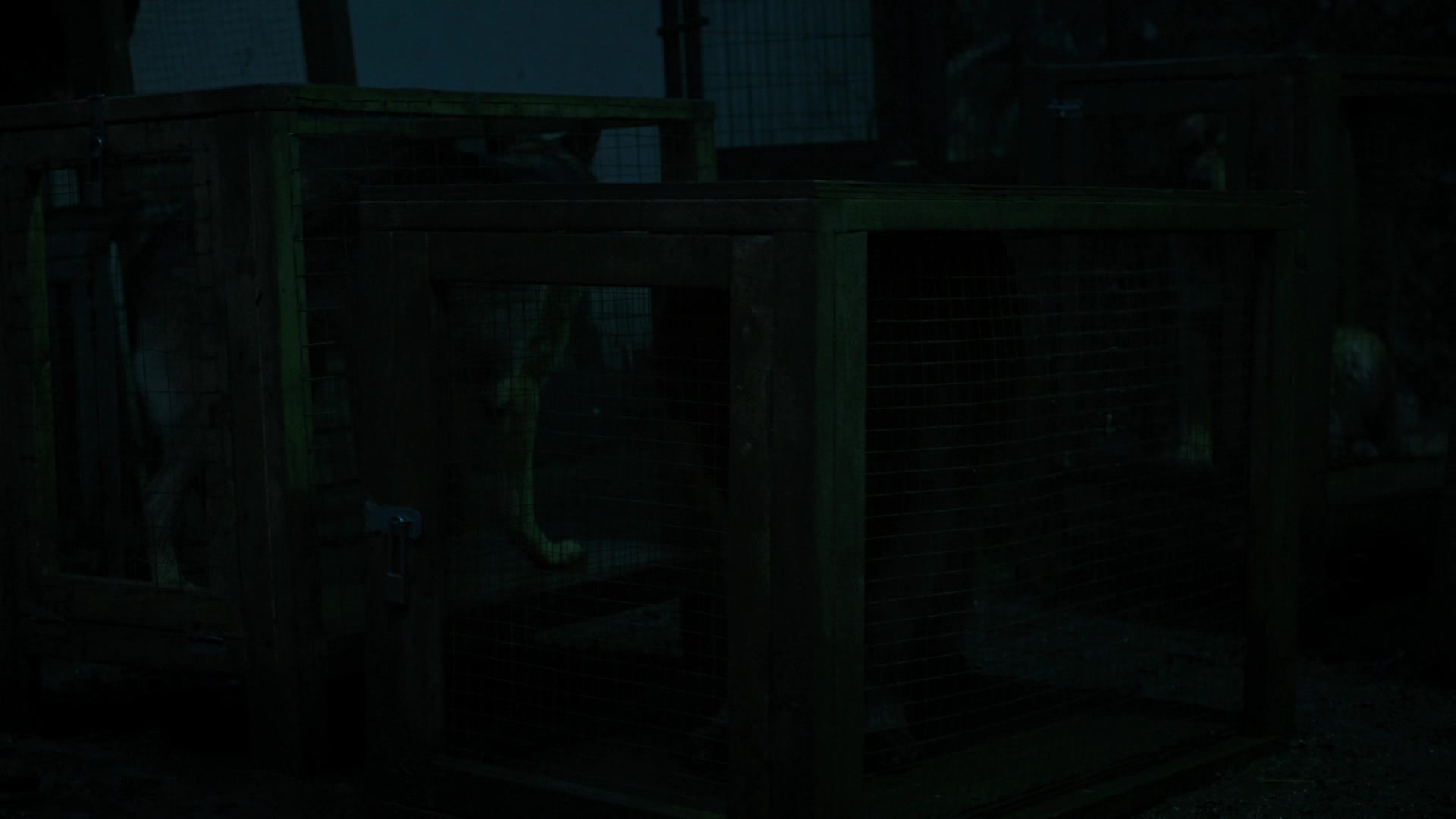 RD_0908.jpg