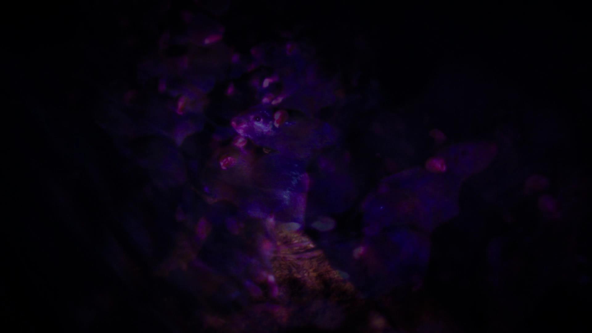 RD_1394.jpg