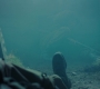 RD_0265.jpg