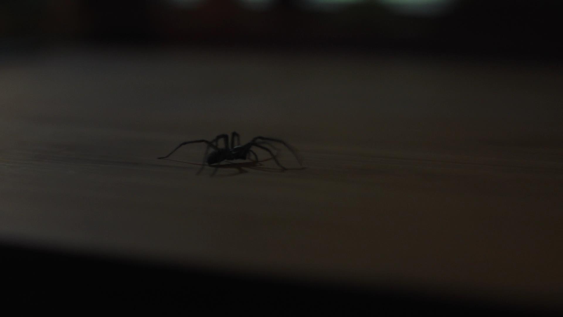 RD_0294.jpg