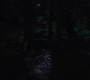 Filename=RD_0624.jpg
Filesize=89KiB
Dimensions=1920x1080
Date added=Feb 27, 2022 RD_0624.jpg