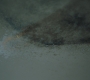 RD_0724.jpg