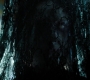 RD_0743.jpg