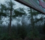 RD_1011.jpg