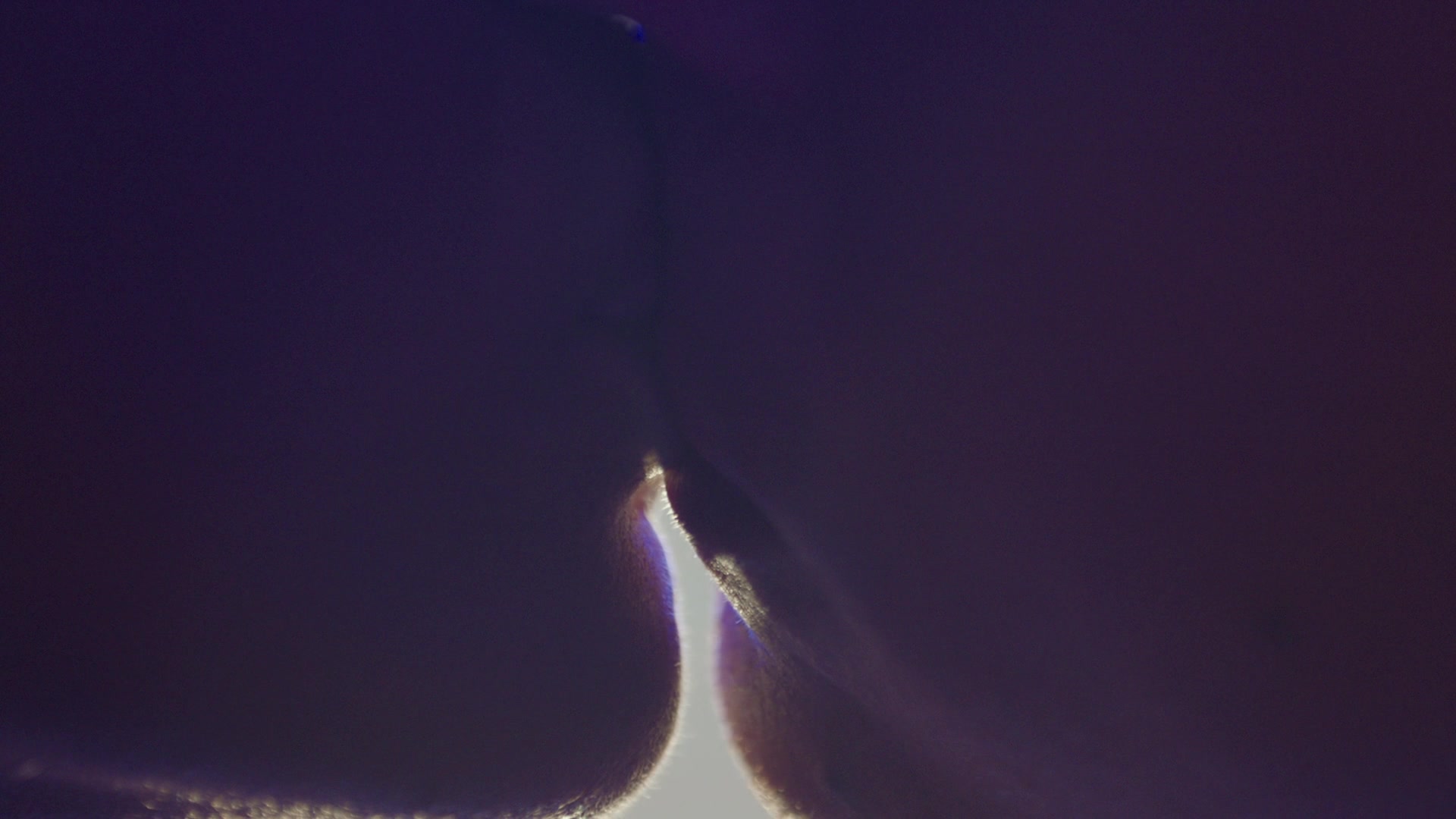 RD_1277.jpg