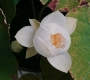 Filename=RD_0790.jpg
Filesize=170KiB
Dimensions=1920x1080
Date added=Apr 28, 2023 RD_0790.jpg